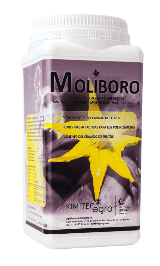 Molibro 1Kg